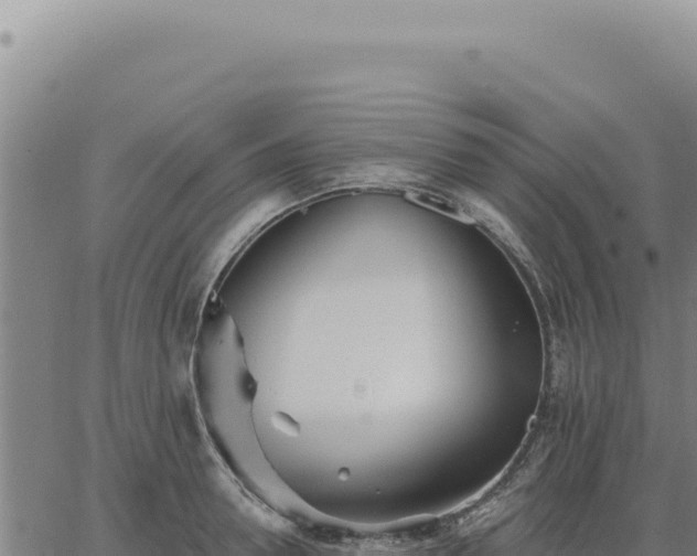 X0000063490946200601271716