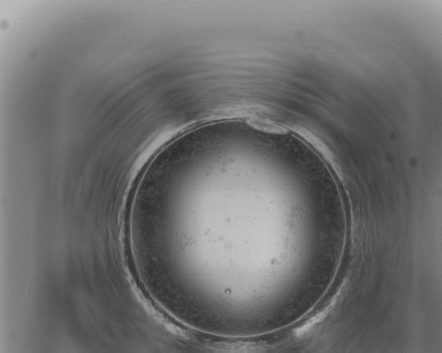 X0000063490949200601271716