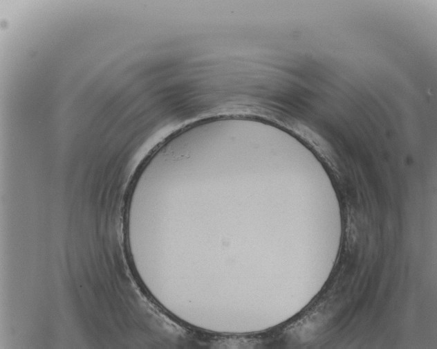 X0000063490950200601271716