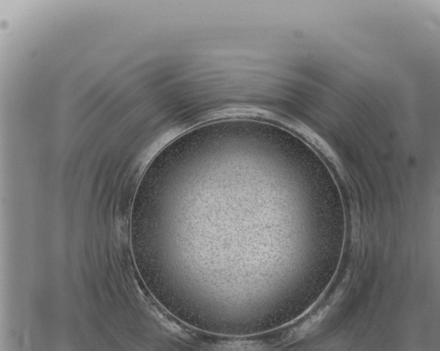 X0000063490953200601271716