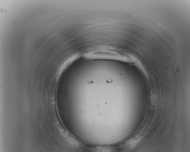 X0000063490954200601271716