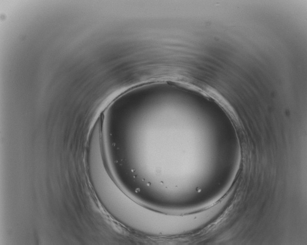 X0000063490956200601271717