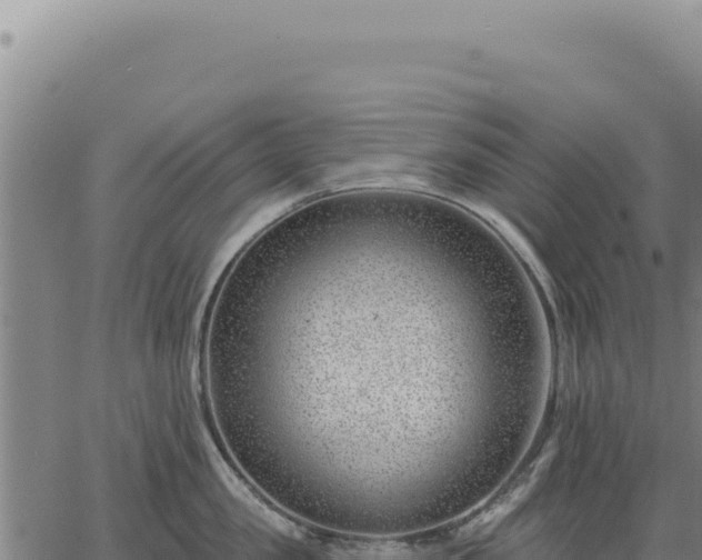 X0000063490957200601271717