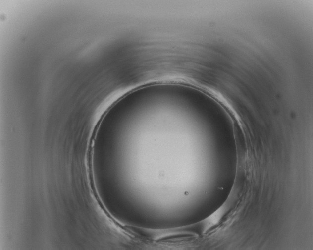 X0000063490959200601271717