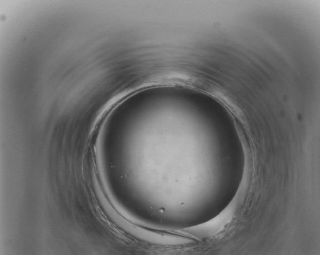 X0000063490960200601271717