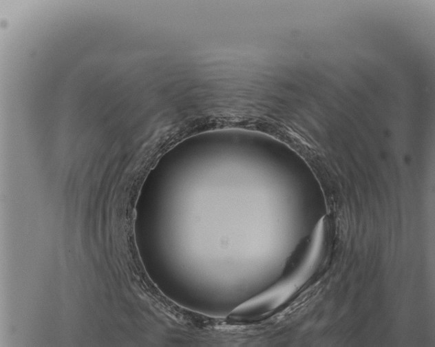 X0000063490961200601271716