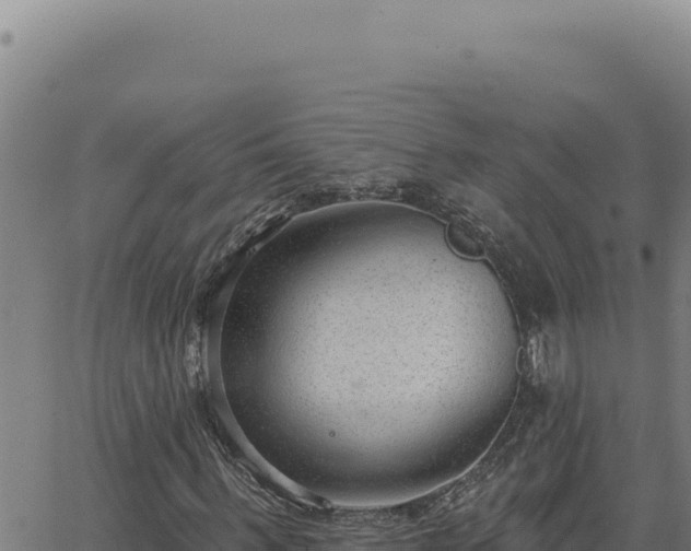 X0000063490963200601271716