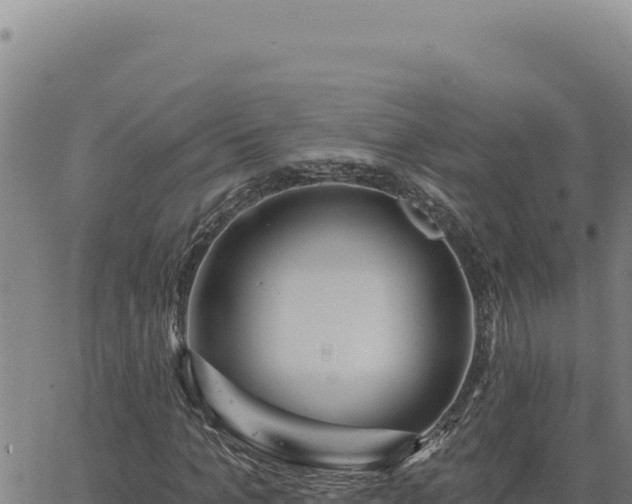 X0000063490965200601271716