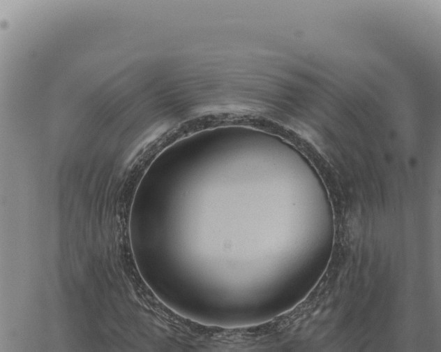 X0000063490967200601271716