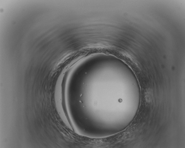 X0000063490968200601271716