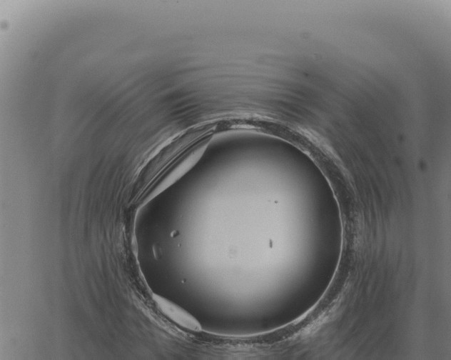 X0000063490969200601271716