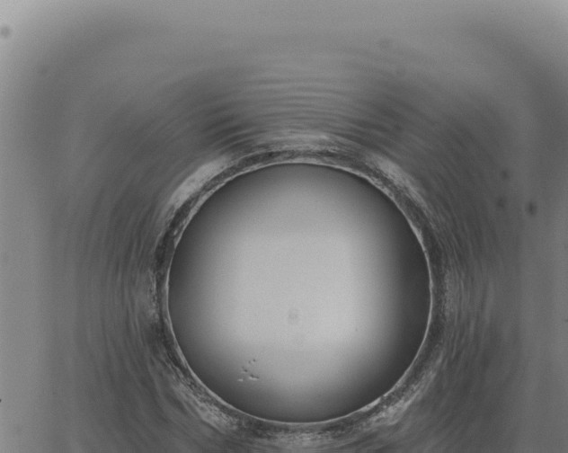 X0000063490970200601271716