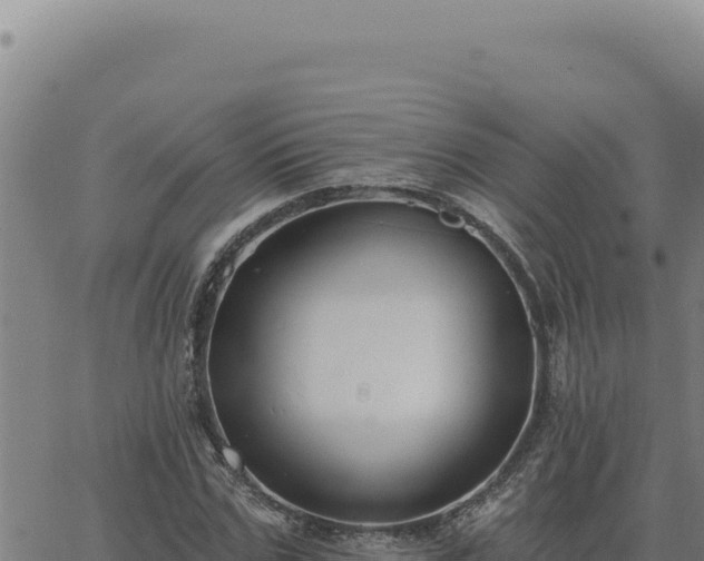 X0000063490971200601271716