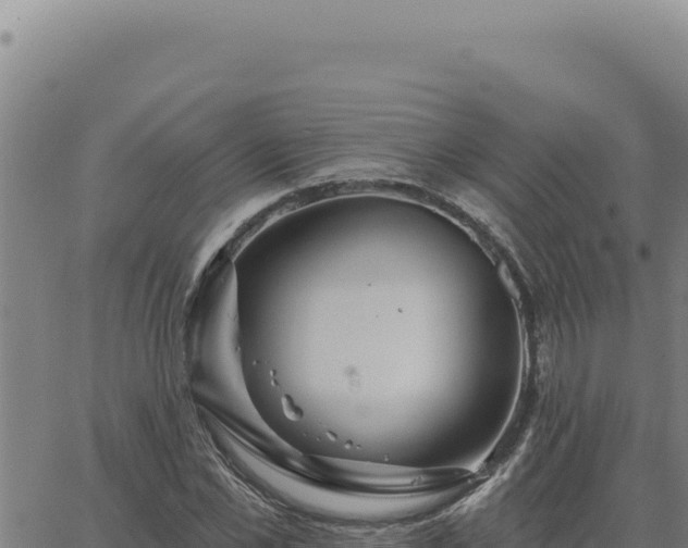 X0000063490973200601271716