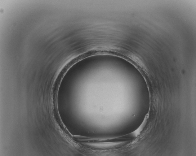 X0000063490976200601271716