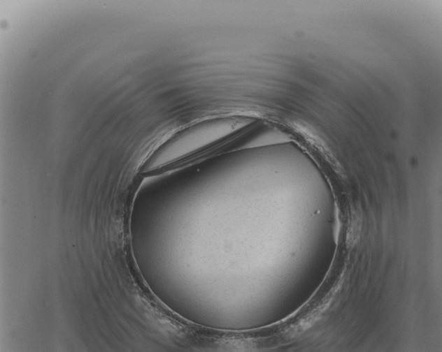 X0000063490977200601271716