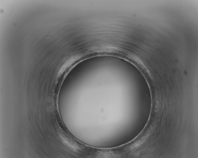 X0000063490978200601271716