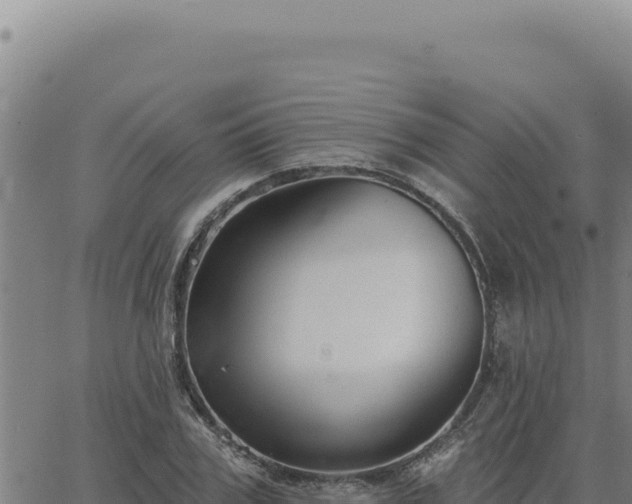 X0000063490979200601271716