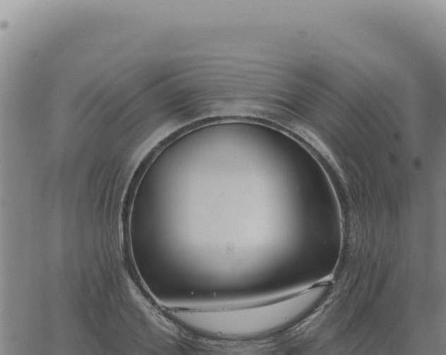 X0000063490980200601271715