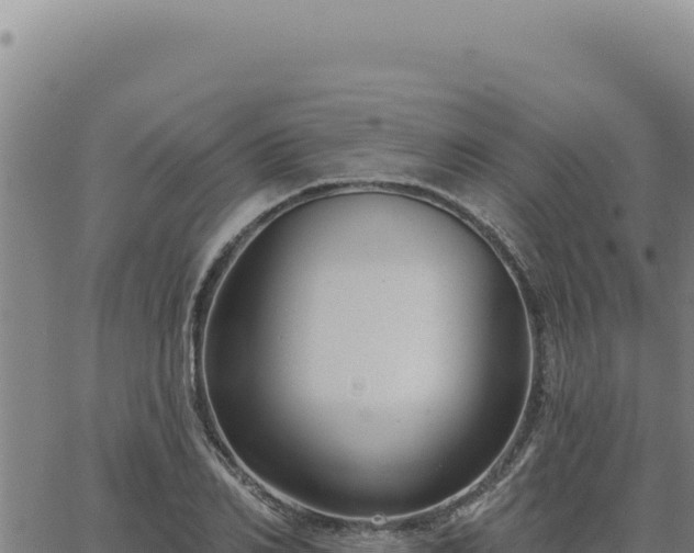 X0000063490982200601271715