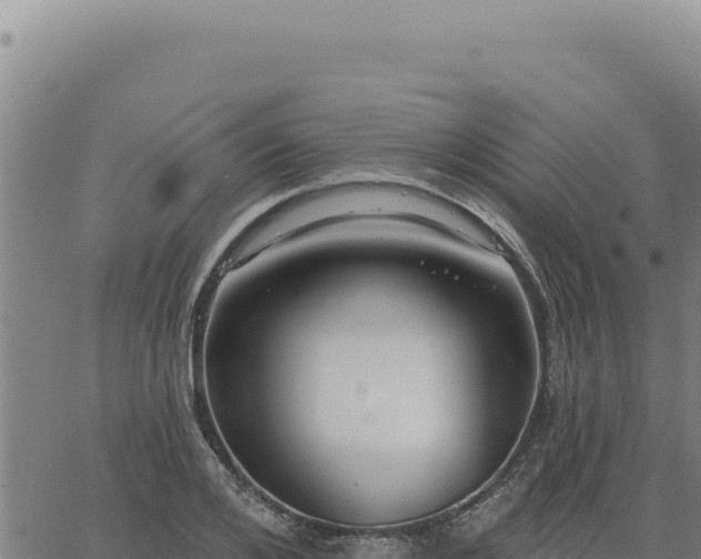 X0000063490984200601271715