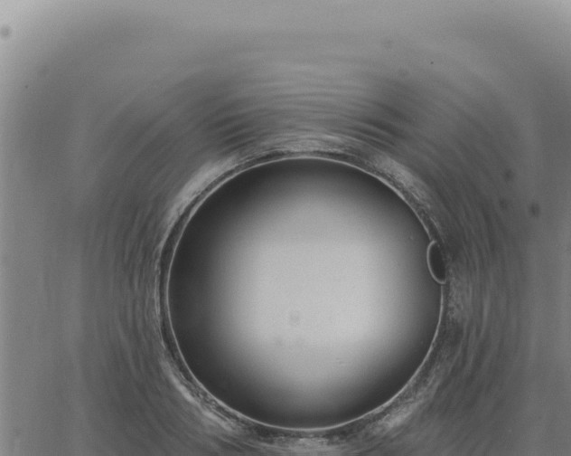 X0000063490986200601271715