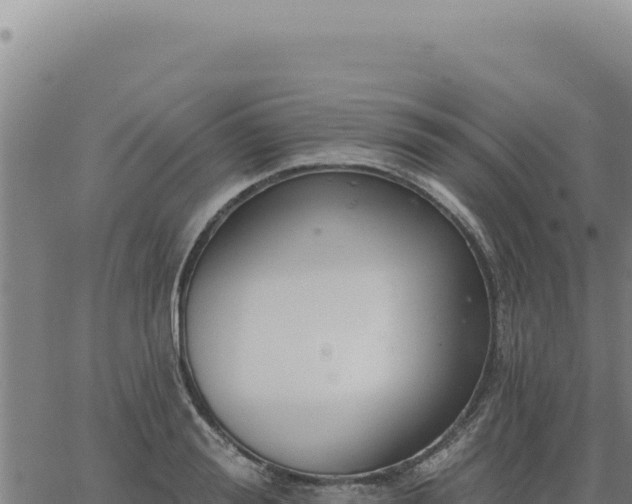 X0000063490988200601271715