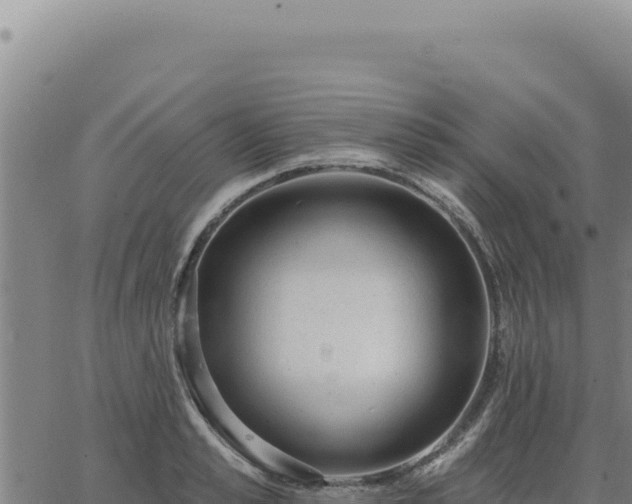 X0000063490989200601271715