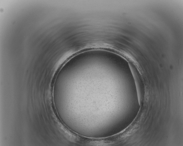 X0000063490990200601271715