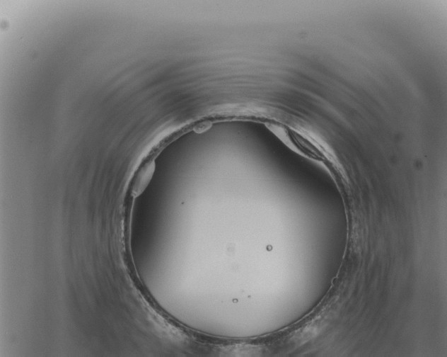 X0000063490992200601271715