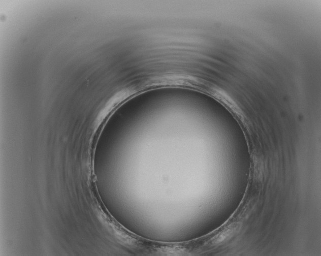 X0000063490994200601271715