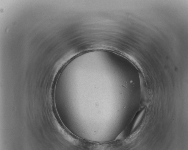 X0000063490995200601271715