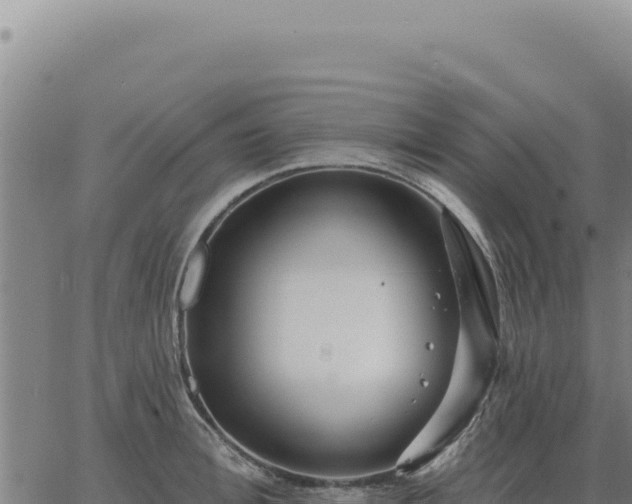 X0000063490996200601271715