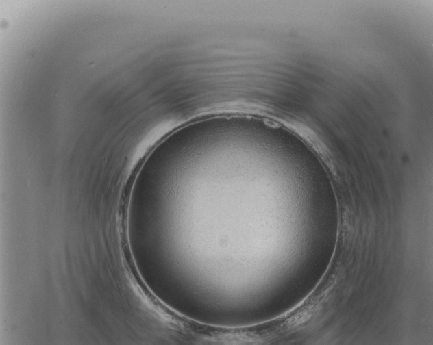 X0000063490998200601271715