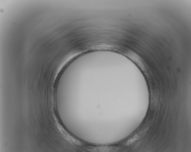 X0000063491000200601271715