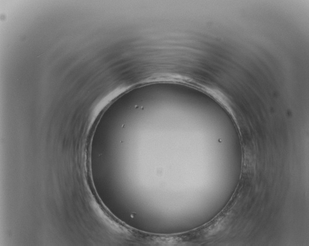 X0000063491003200601271715