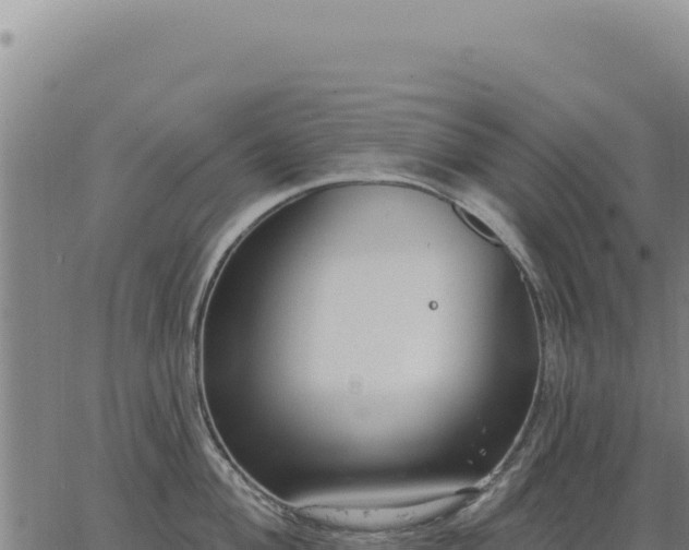 X0000063491004200601271715