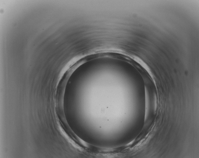 X0000063491005200601271715