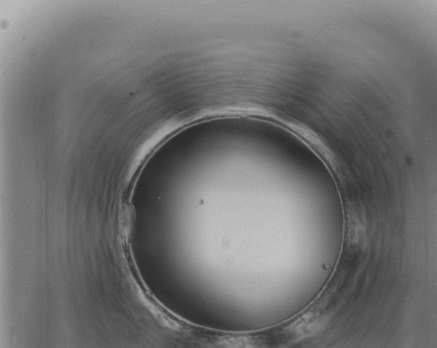 X0000063491006200601271715