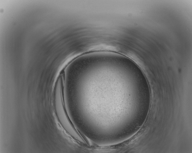 X0000063491008200601271715