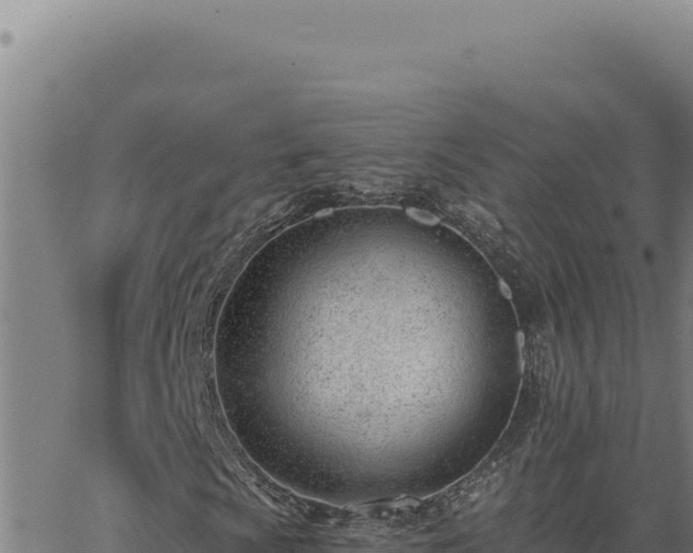 X0000063491009200601271714