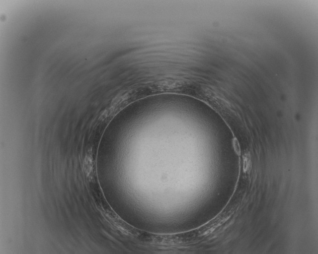 X0000063491011200601271714