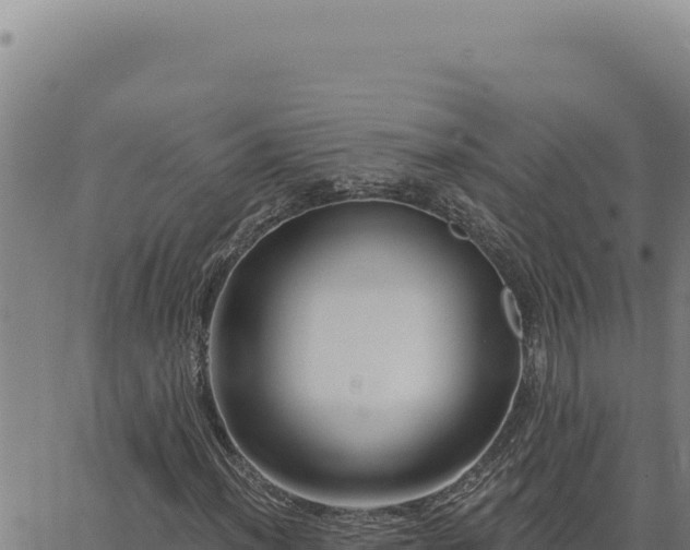 X0000063491012200601271714