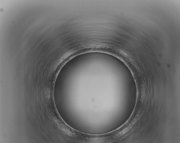 X0000063491017200601271714