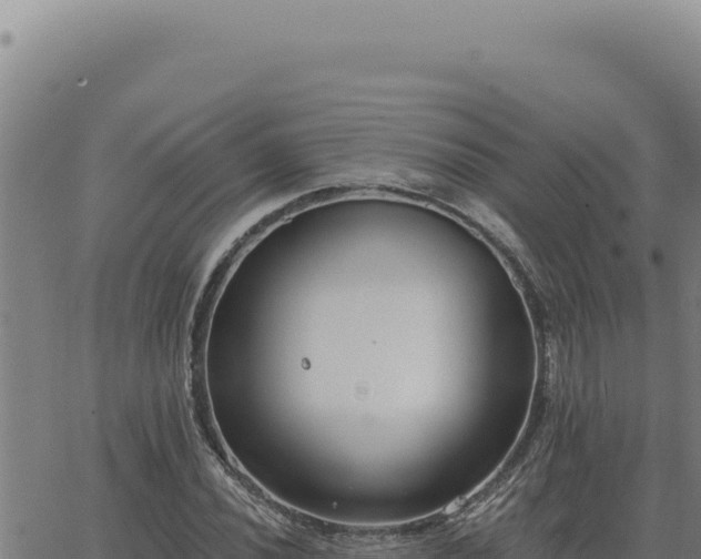 X0000063491020200601271714