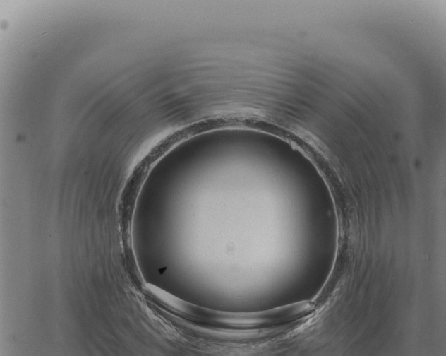 X0000063491022200601271714