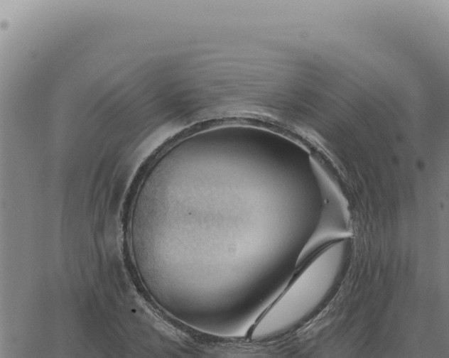 X0000063491024200601271715