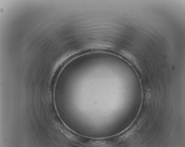 X0000063491027200601271715