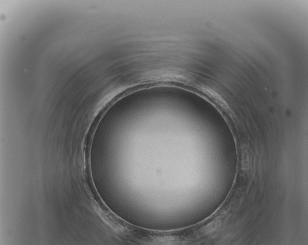 X0000063491031200601271715