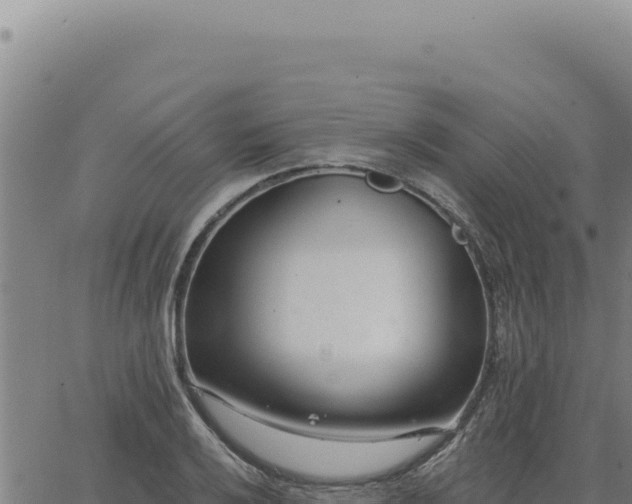 X0000063491032200601271715